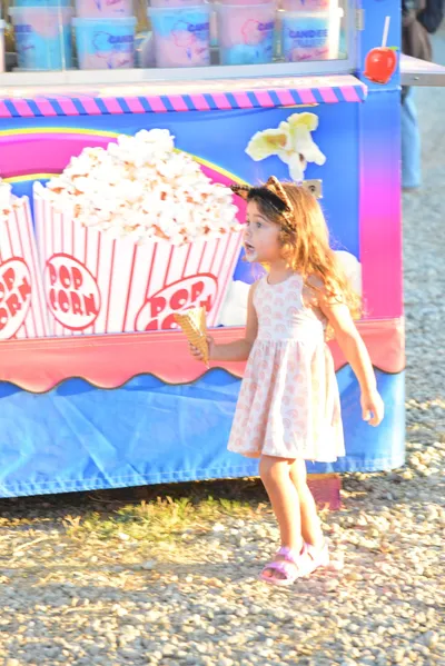 DSC_7697 (Large).JPG